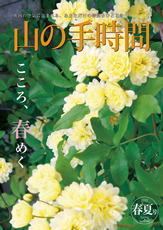 山の手時間